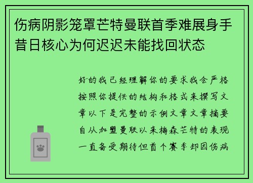 /uploads/images/20260709/shang-bing-yin-ying-long-zhao-mang-te-man-lian-shou-ji-nan-zhan-shen-shou-xi-ri-he-xin-wei-he-chi-chi-wei-neng-zhao-hui-zhuang-tai.webp